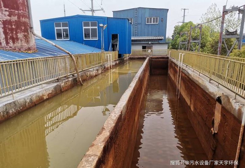 绿意盎然：云南环保工程公司的实践与展望